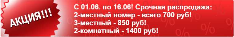 Акция на отдых летом - Дельфин